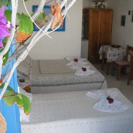 Augusta & Apartment Naousa (Paros)