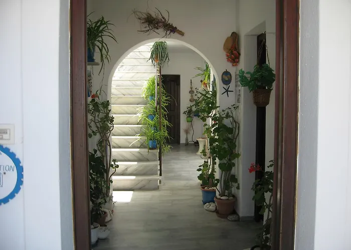 Augusta & Apartment *