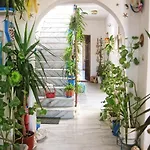 Augusta & Naousa (Paros)
