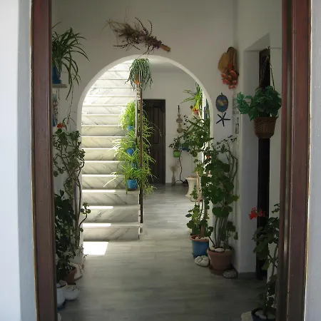 Augusta & Apartment *